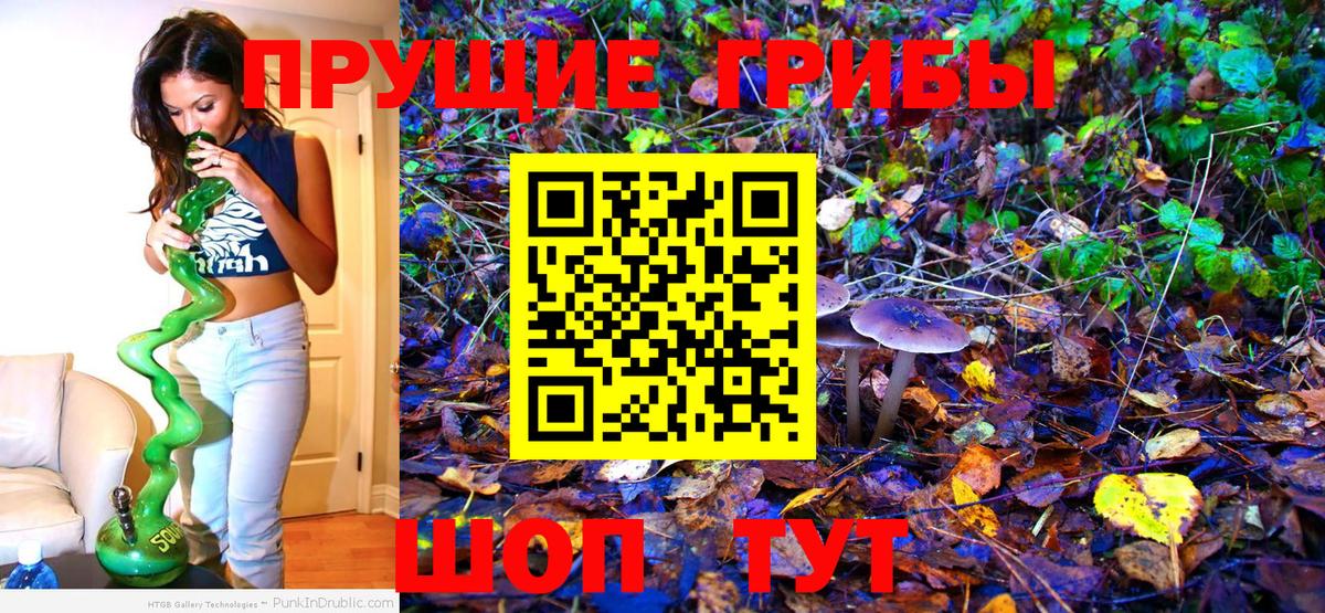 Ноябрьск  Галлюциногенные грибы прущие грибы  Вход с VPN 